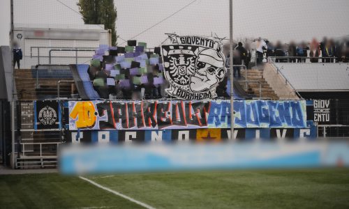 Fußballsportverein - SG Barockstadt Fulda-Lehnerz (1:1), 15.11.2025
