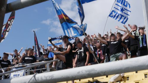 PRIBRAM23-26-27