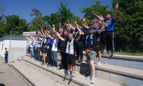 WALLDORF2 (1) (1) (1)